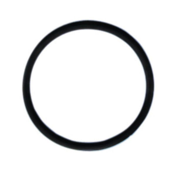 Guarnizione per tappo serbatoio acqua 61250