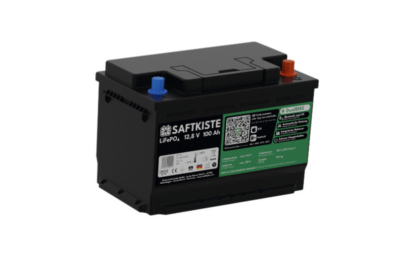 Batteria per camper sotto sedile al litio LiFePo4 - Saftkiste - 12V / 100Ah