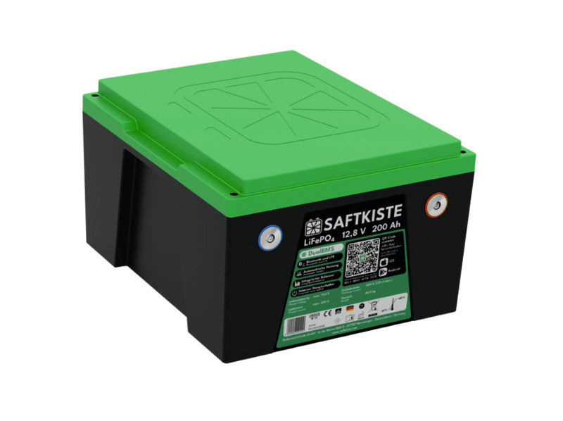 Batteria per camper sotto sedile al litio LiFePo4 - Saftkiste - 12V / 200Ah