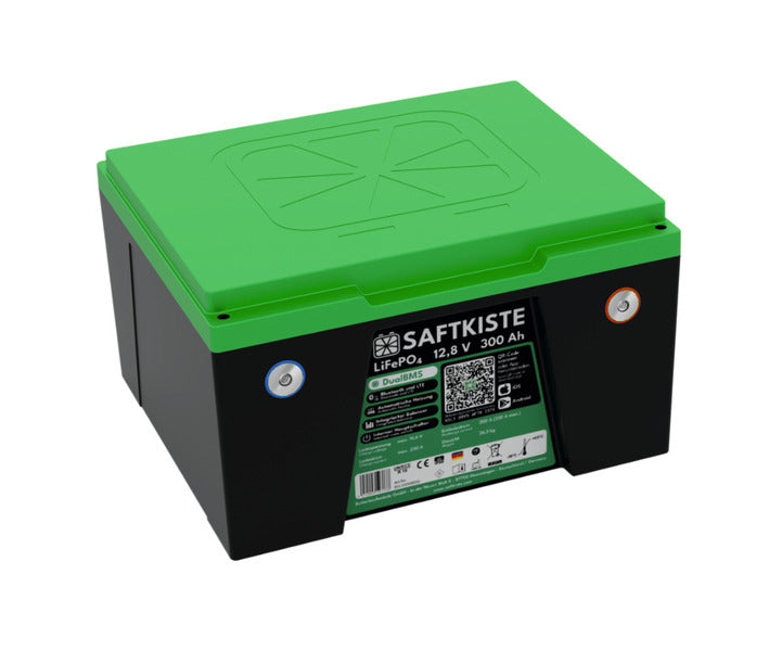 Batteria per camper sotto sedile al litio LiFePo4 - Saftkiste - 12V / 300Ah