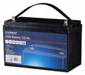 Batteria per camper AGM Power Line - Carbest - 12V / 120Ah